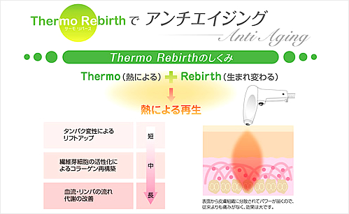 テノール解説図